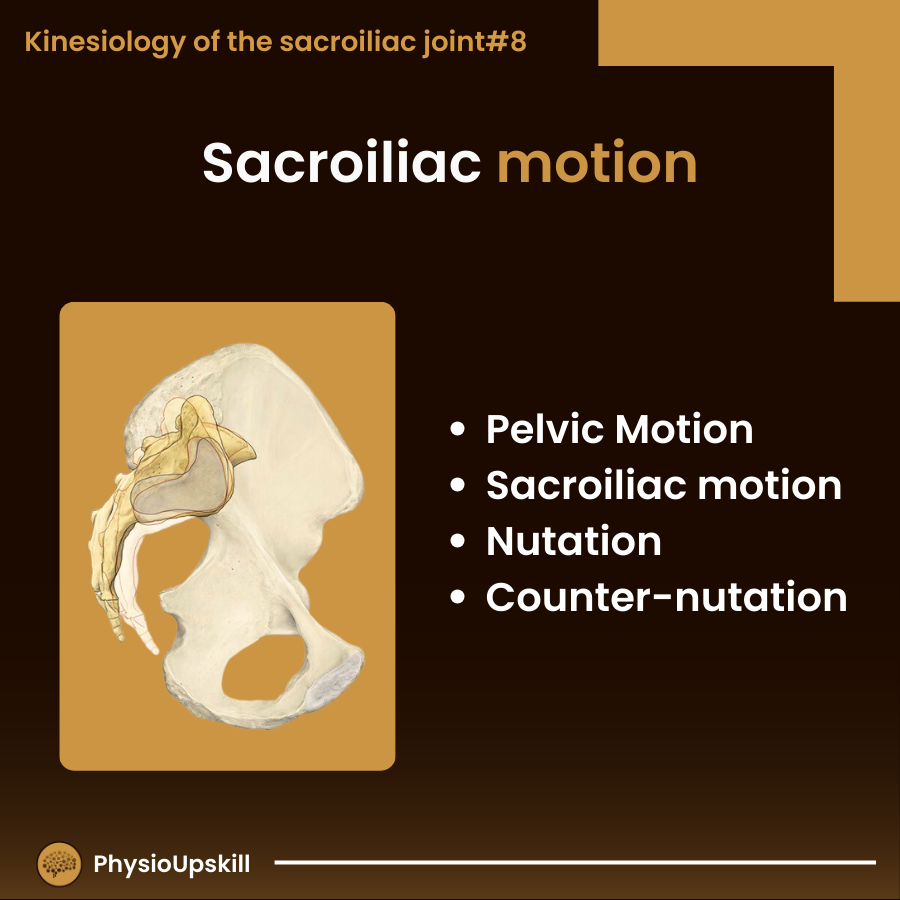 sacroiliac motion